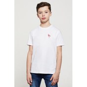 Resim Flamingo Suluboya Resim Baskıresim Çizim Flamingo Baskılı Unisex Çocuk Beyaz T-Shirt 