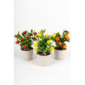 Resim Yapay Çiçekçiniz 3 Adet Beyaz Plastik Saksıda Yapay Meyve Ağacı Seti 