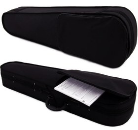 Resim Manuel Raymond MRV44DCM Başlangıç Serisi Keman Seti (4/4 Mat) | Doğal Ahşap Dokusu Öğrenci Serisi 