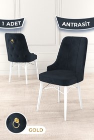 Resim Canisa Pare Serisi, 1.sınıf Babyface Kumaş Yemek Odası Antrasit Sandalye, Beyaz Gürgen Ayak, Gold Halkalı 