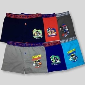 Resim Tutku Baskılı Elastan Pamuk Erkek Çocuk Boxer 6'lı - Çok Renkli 