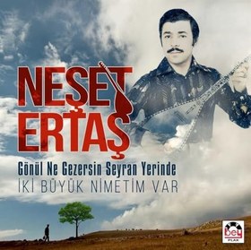 Resim Neşet Ertaş - Gönül Ne Gezersin Seyran Yerinde/Iki Büyük Nimetim Var - Plak 