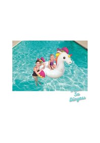 Resim Pegasus Tutmalı Binici 150 X 117 Cm 