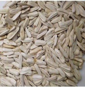 Resim Doğal Beyaz Çerezlik Çitlemelik Ayçiçeği Çekirdek Tohumu 40 Tohum 