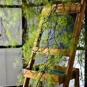 Resim Vintage Yapay Su Bitkisi Rattan, Klima Borusu Barınağı için Plastik Sahte Yeşillik, Tavan Peyzaj Dekoru, Avlu için Sarmaşık Çim, Asma Çit Süsü, Siyah Kemik Awn Dükkan Penceresi Kaya Dekorasyonu - Gereksiz, Tüysüz 