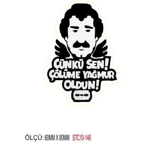 Resim PROMOT Motorsiklet Bisiklet Otomobil Kask Laptop Grenaj Marka Sticker 2 Adet 0142 
