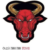 Resim Motorsiklet Otomobil Sticker 2 Adet 100 