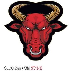 Resim Motorsiklet Otomobil Sticker 2 Adet 100 