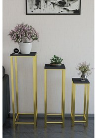 Resim Dekoratif Saksılık 3lü Saksı Standı Gold Ayak Çok Amaçlı Metal Gold Ayaklı Yan Sehpa Saksılık Antrasit 