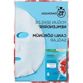 Resim Garnier Hydra Bomb Kağıt Maske 