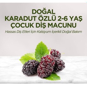 Resim Eyüp Sabri Tuncer 2'li Karadut Özlü 2-6 Yaş Çocuk Diş Macunu 60 Ml Ağız Kokusu Önleyici 