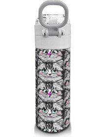 Resim Coral High Kids Gri Kedi Desenli Pipetli Ve Direkt İçim Çelik Termos 500 Ml 31851 Çok Renkli 