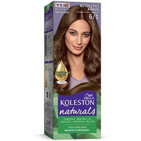 Resim Litae LitaeTrend Naturals Saç Boyası Büyüleyici Kahve 6/1 