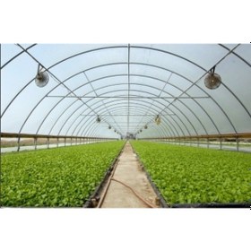 Resim 36 Aylık Sera Naylonu 350 Mikron Branda Örtüsü UV - Eva - Ab Katkı 18 M - 8 M 