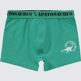 Resim Civil Boys Erkek Çocuk 3'lü Boxer Set 2-10 Yaş Yeşil 