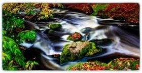 Resim Colorix Carpet Kaymaz Taban Tezgah Önü Mutfak Paspası 75x150 Cm No: 271 