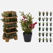 Resim Mini Yılbaşı Ağacı 23 cm 