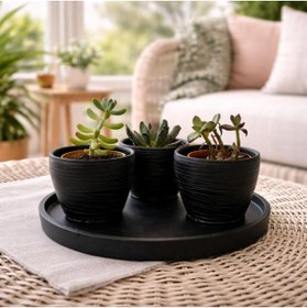 Resim Betohome Design SUKULENT / KAKTÜS 3 ' lü TEPSİLİ SAKSI SETİ YUVARLAK TEPSİ MODELİ 