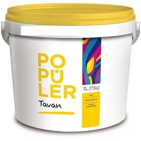 Resim Polisan Popüler Tavan Boyası 