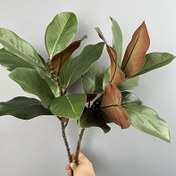 Resim 3 adet Simüle Yeşil Bitki Sanatı Stili Magnolia Yaprakları, Ev Dekorasyonu, Çalışma, Sanat Galerisi, Restoran, Kafe Dekorasyonu, Düğün Bahçe Dolabı Dekorasyonu için Uygun 