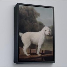 Resim Ahşap Çerçeveli George Stubbs Beyaz Kaniş Tablo 55x75 cm Kahverengi, TTÇ.KNV8034FRM 