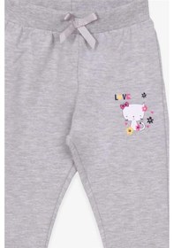 Resim Breeze Kız Bebek Eşofman Altı Kedi Baskılı 6 Ay-2 Yaş, Açık Gri Melanj-açık Gri Melanj Açık Gri Melanj 