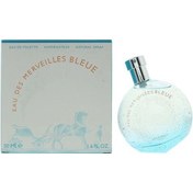 Resim Hermes Eau Des Merveilles Bleue Edt 100 ML Oryantal 