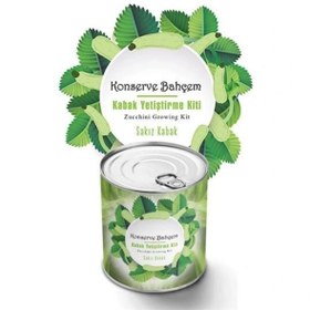 Resim Leyloş Buffer® Konserve Bahçem Evde Konservede Sakız Kabak Yetiştirme Kiti 