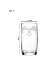 Resim Florale Model Desenli Zarif Su & Meşrubat Bardağı 2 Li Set Şeffaf 