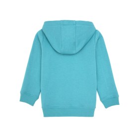 Resim U.S. Polo Assn. Erkek Çocuk Mint Kapüşonlu Basic Sweatshirt 50313808-VR152 