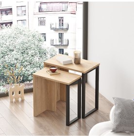Resim Robin Home Lidya 2'li Zigon Sehpa Yan Sehpa Metal Ayaklı Sepet 