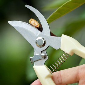 Resim 1 adet Modern Paslanmaz Çelik Bahçe Budama Makası, Çiçekler, Dallar & Yapraklar için Ambidextrous El Budama Makası, Pürüzsüz & Temiz Kesim, Dayanıklı Bitki Makası, Bahçe Budama Makası 