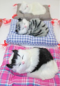 Resim Yastıkta Uyuyan Kedi Sesli Alk25 diğer 