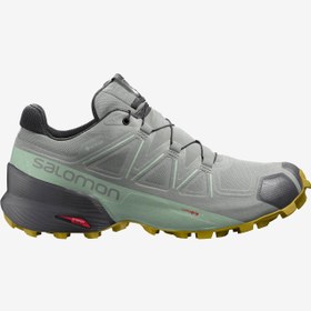 Resim Salomon Speedcross 5 Gtx W Kadın Gri Outdoor Ayakkabı 