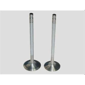 Resim GÜNEŞ 3445-3446 GÜNEŞ SUBAP TAKIMI E2200 YM 00- 2.2D 8V 30º 