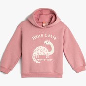 Resim Kız Bebek Kapşonlu Sweatshirt Dinozor Baskılı Uzun Kollu Şardonlu 