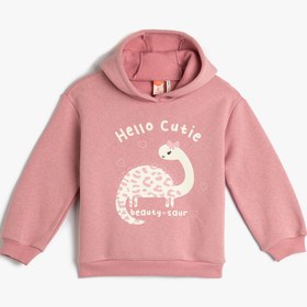 Resim Kız Bebek Kapşonlu Sweatshirt Dinozor Baskılı Uzun Kollu Şardonlu 