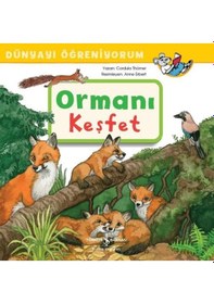 Resim Ormanı Keşfet-Dünyayı Öğreniyorum - Cordula Thörner - İş Bankası Kültür Yayınları 