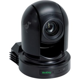 Resim BirdDog Eyes P200 1080p Full NDI PTZ Camera (Black) 