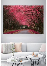 Resim Kiraz Çiçekli Yol Manzara Doğa Tabiat Kanvas Tablo 60 x 40 