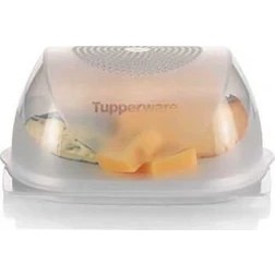 Resim Tupperware Küçük Peynir Saklama 