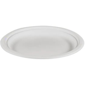 Resim NAFA Şeker Kamışından Ekolojik Tabak 23cm - 50 Adet 