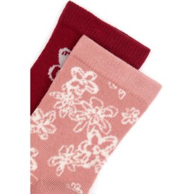 Resim U.S. Polo Assn. Kız Çocuk Orkide 2'li Soket Çorap 50318080-VR221 