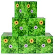 Resim Megacraft Manyetik Bloklar Çiçekli Çim Desenli Blok 