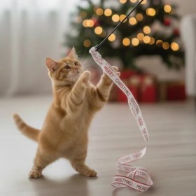 Resim Tp Buğz Yılbaşı Temalı Kedi Oyun Oltası 