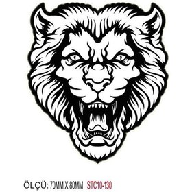 Resim Motorsiklet Otomobil Sticker 2 Adet 126 