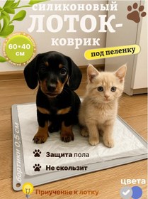 Resim Silikon Bez Değiştirir Paspas Kilim 379136662 