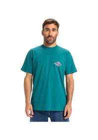 Resim Quiksilver Ev Beach Blast Ss Erkek Tişört Eqyzt08046-qk.21882 Yeşil 