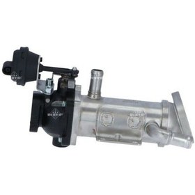 Resim EGR VALFI M9R 2.0 DCI MEGANE II SCENIC II TRAFIC II NRF 48011 