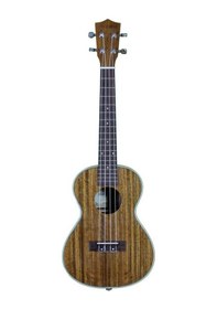 Resim Freeman Uk-1026 Tenor Ukulele Taşıma Çantası 